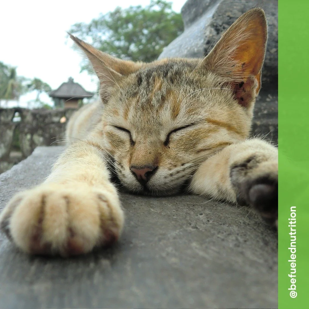 What ACTUALLY HAPPENS when you consistently sleep less than 7 hours? ⬇

Researchers at the University of Chicago found that just one week of 5-hour nights dropped testosterone levels by 10&ndash;15% in healthy young men. For context, that's the same 