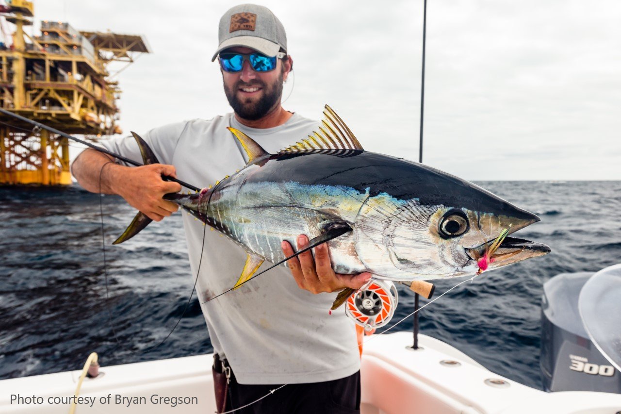 Yellowfin tuna-Bryan Gregson-c.jpg