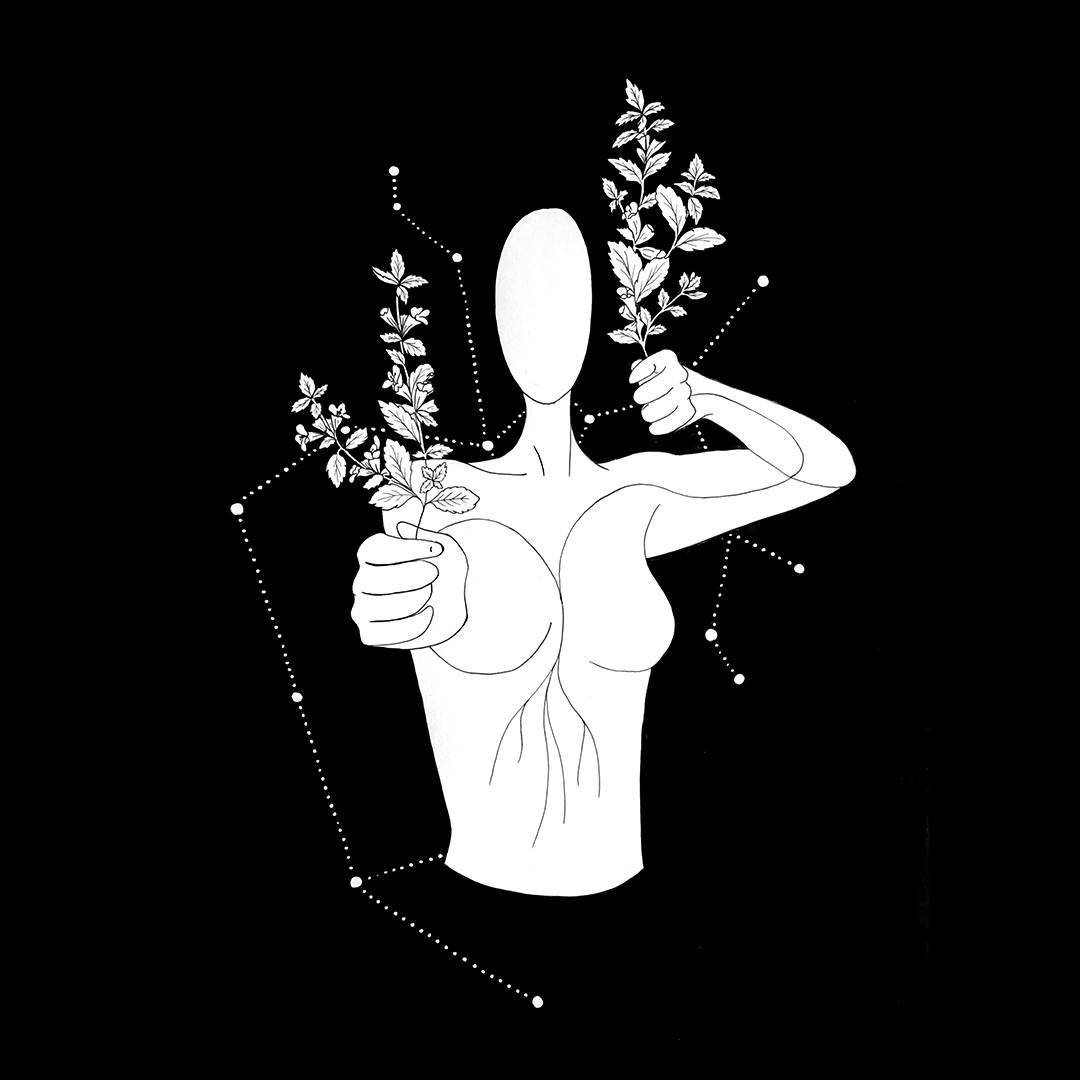 Sagittarius, Lemon Balm