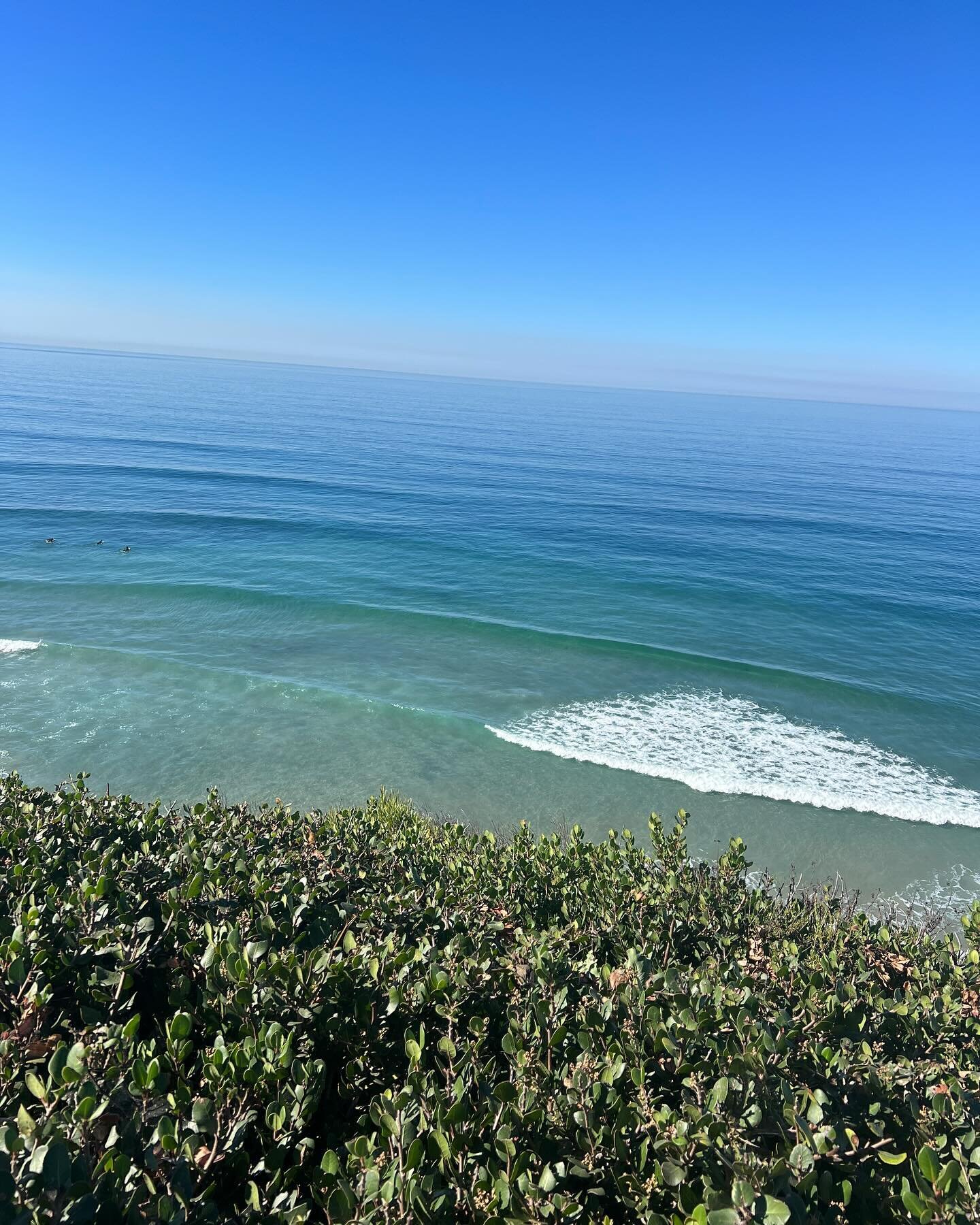 Fall in San Diego. Also I can&rsquo;t believe I found this shell while surfing last week. 👉👉I jumped off my board and grabbed it. Felt like a sign there are good things still out there if you look for them. I know a lot of you are suffering right n