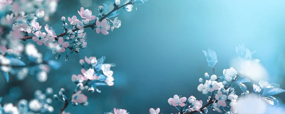 flora.jpg