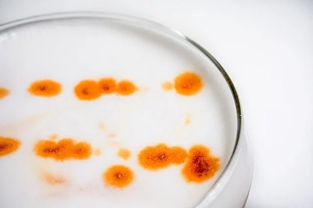I don&rsquo;t get why the Pisco Sour isn&rsquo;t more popular with today&rsquo;s hipsters. It&rsquo;s got everything they&rsquo;d want in a beverage: a foreign liquor to brag about discovering whilst on a study abroad trip, egg whites to promote heal
