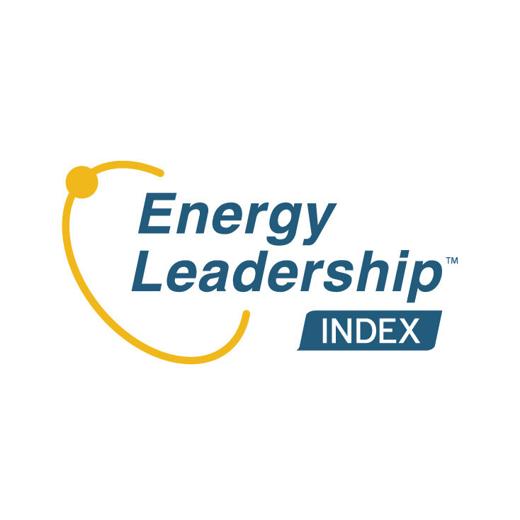 Energy Leadership Index Assessment and Personalized Debrief