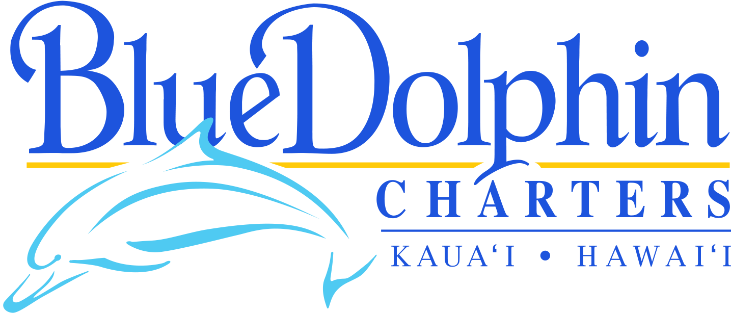 BDC-PRIMARY-LOGO-RGB-FULL-COLOR (3).png