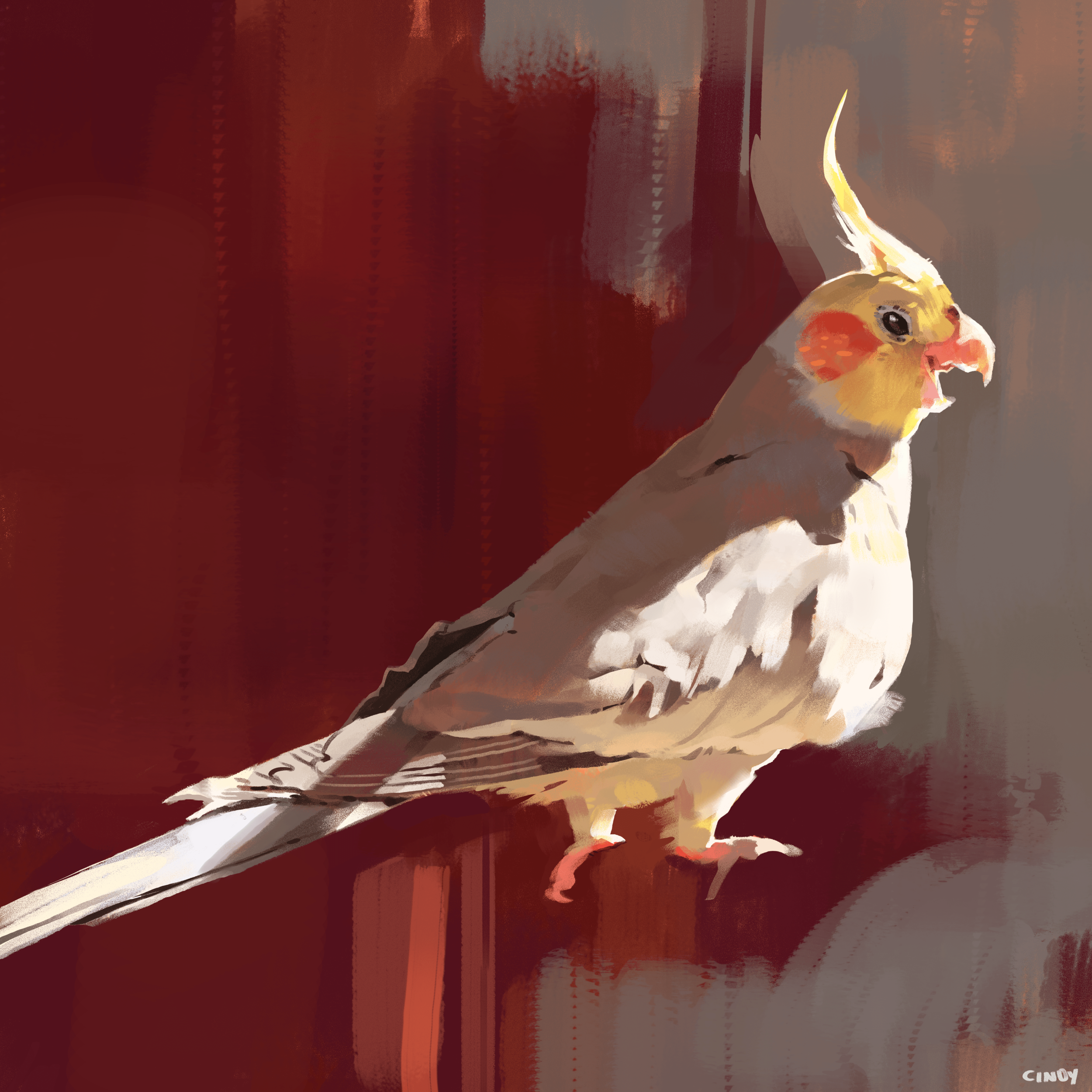 bird study 1-min.png