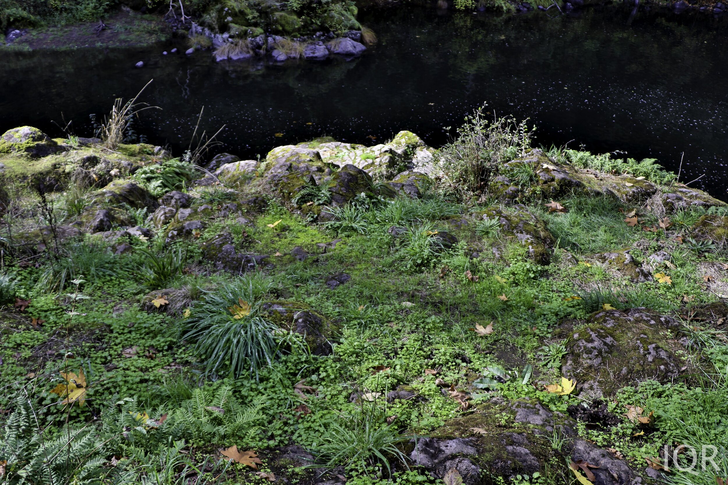Wilderness — Trout Creek Wilderness Lodge
