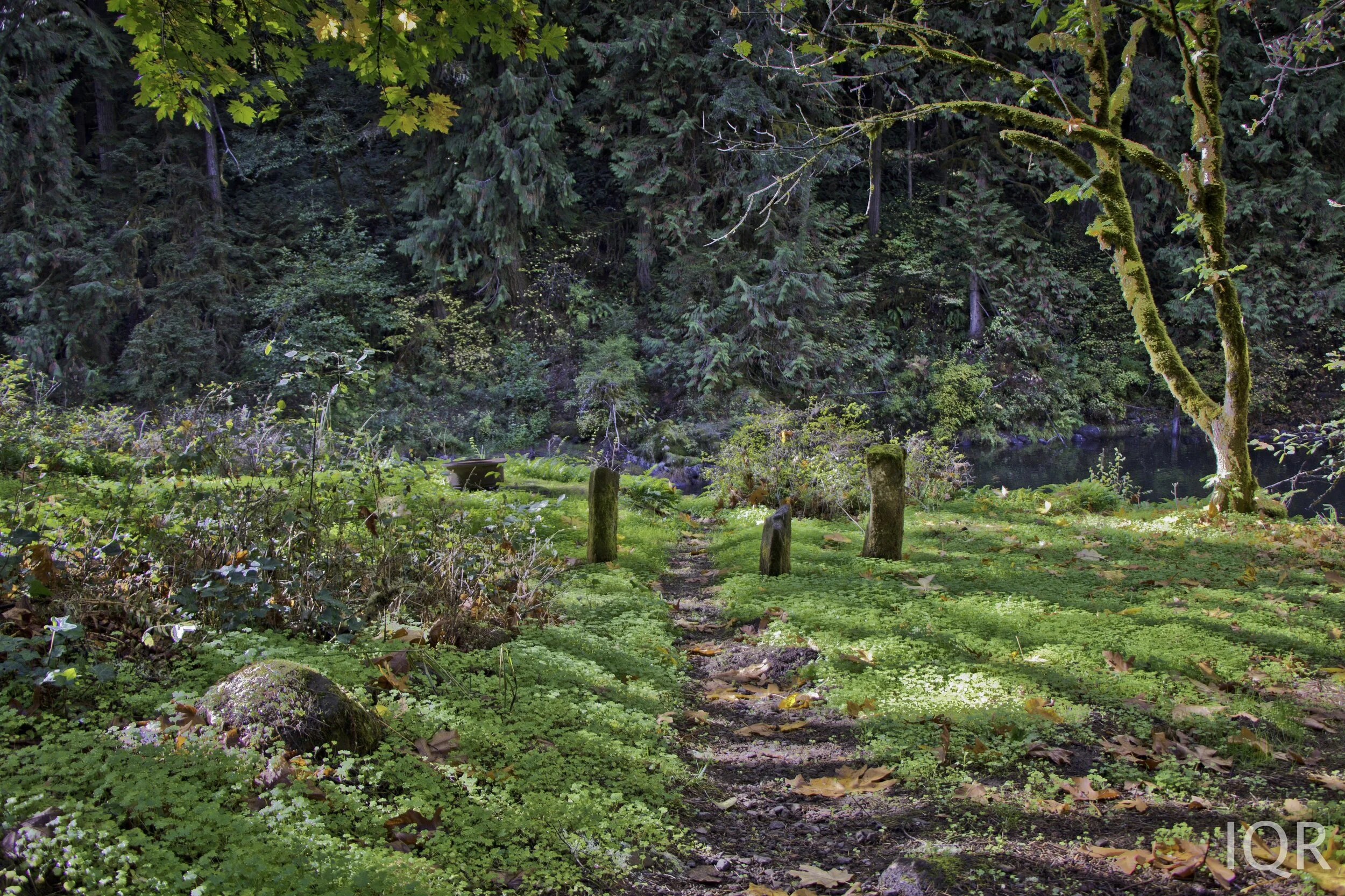 Trout Creek Wilderness Lodge