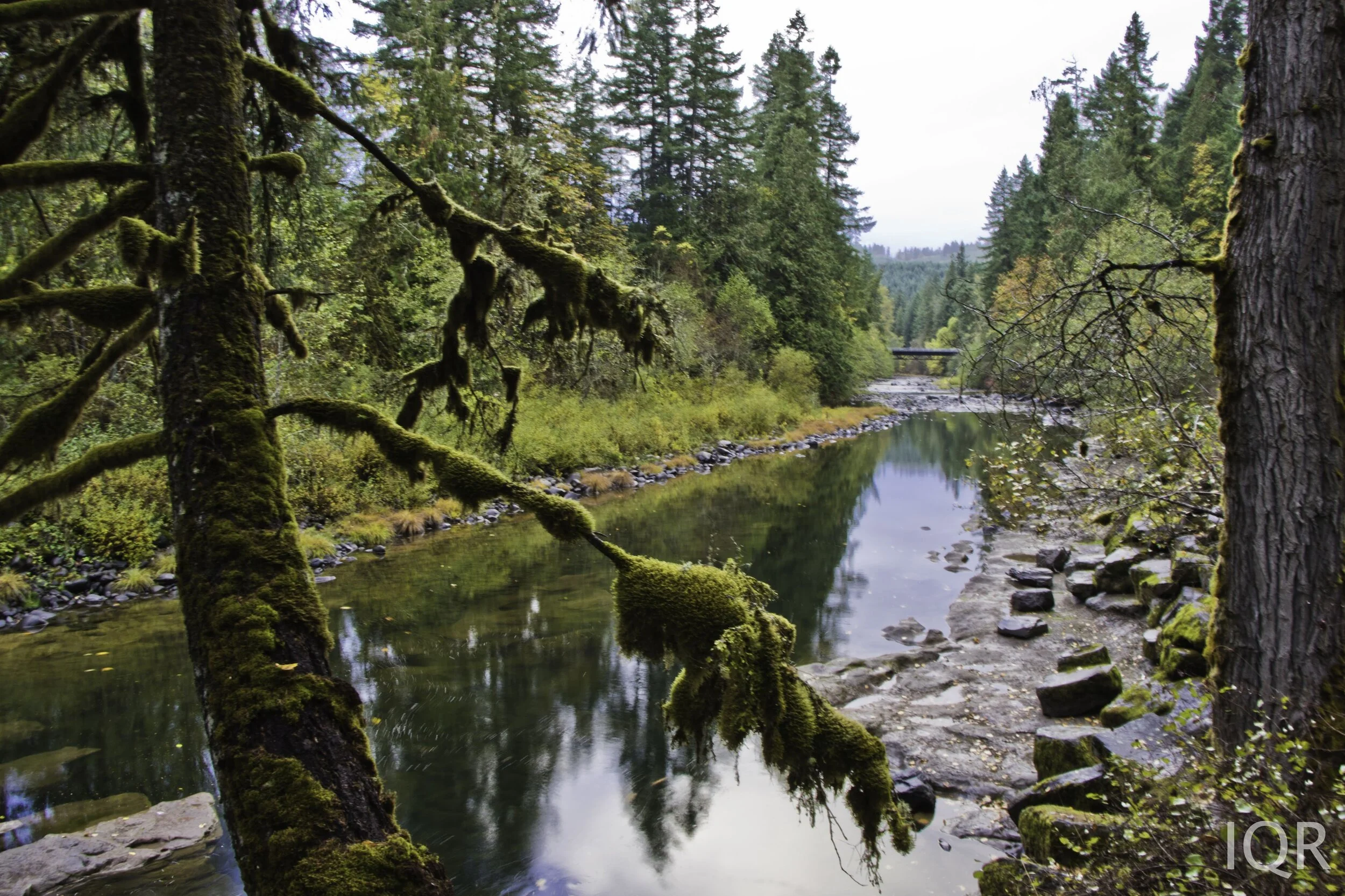 Wilderness — Trout Creek Wilderness Lodge