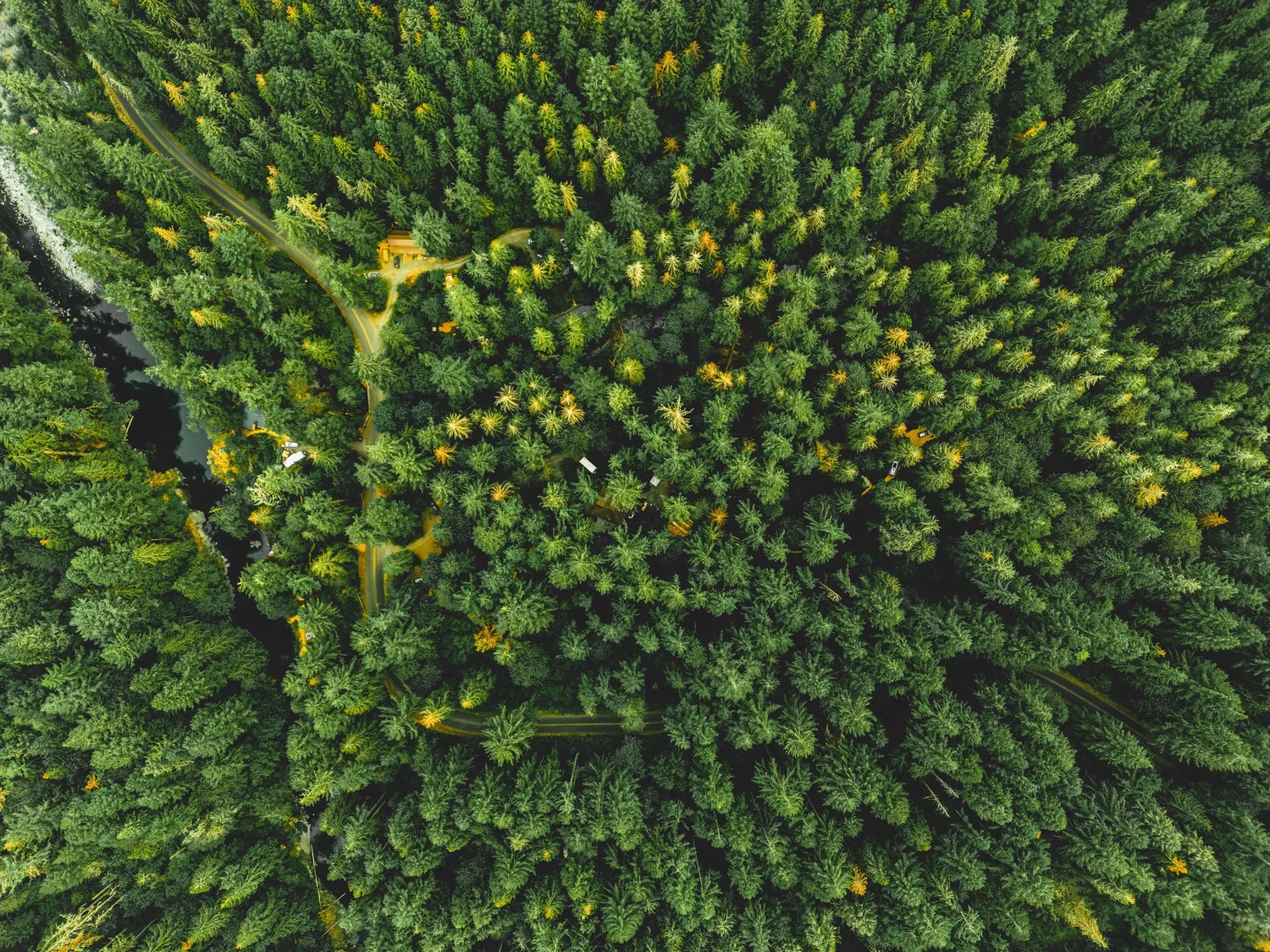 Local Guide — Trout Creek Wilderness Lodge