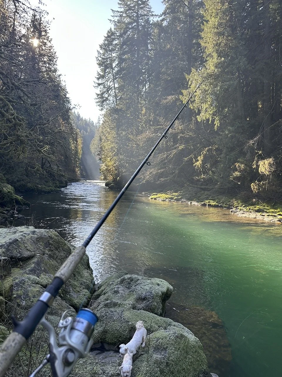 Fishing at TCWL - 2.jpeg