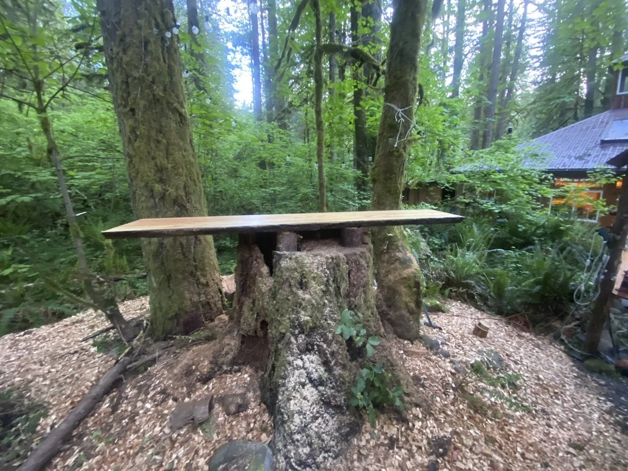 Desk in the Woods - 64.jpeg