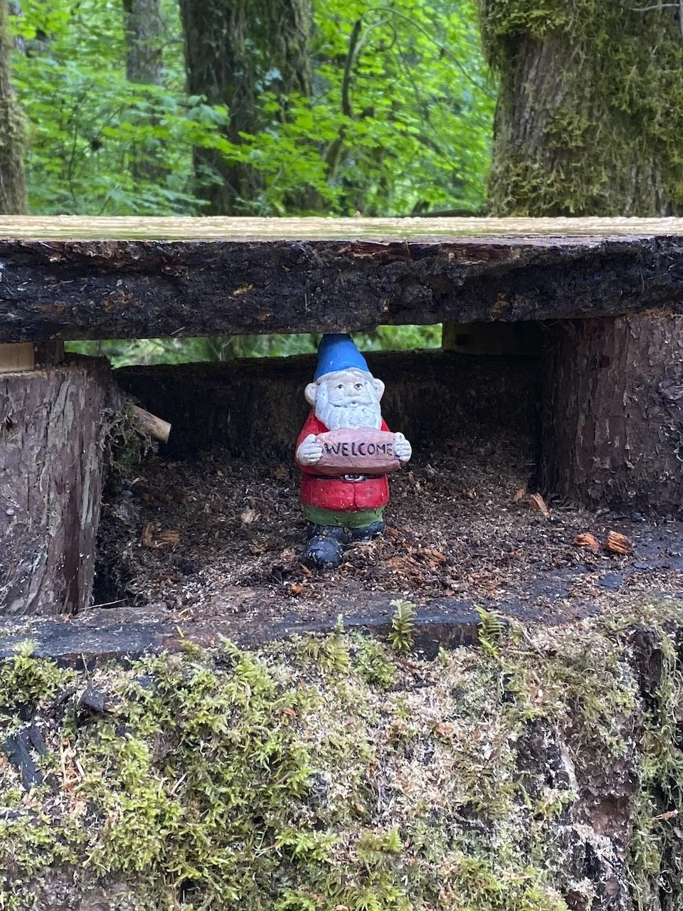 Desk in the Woods - 63.jpeg