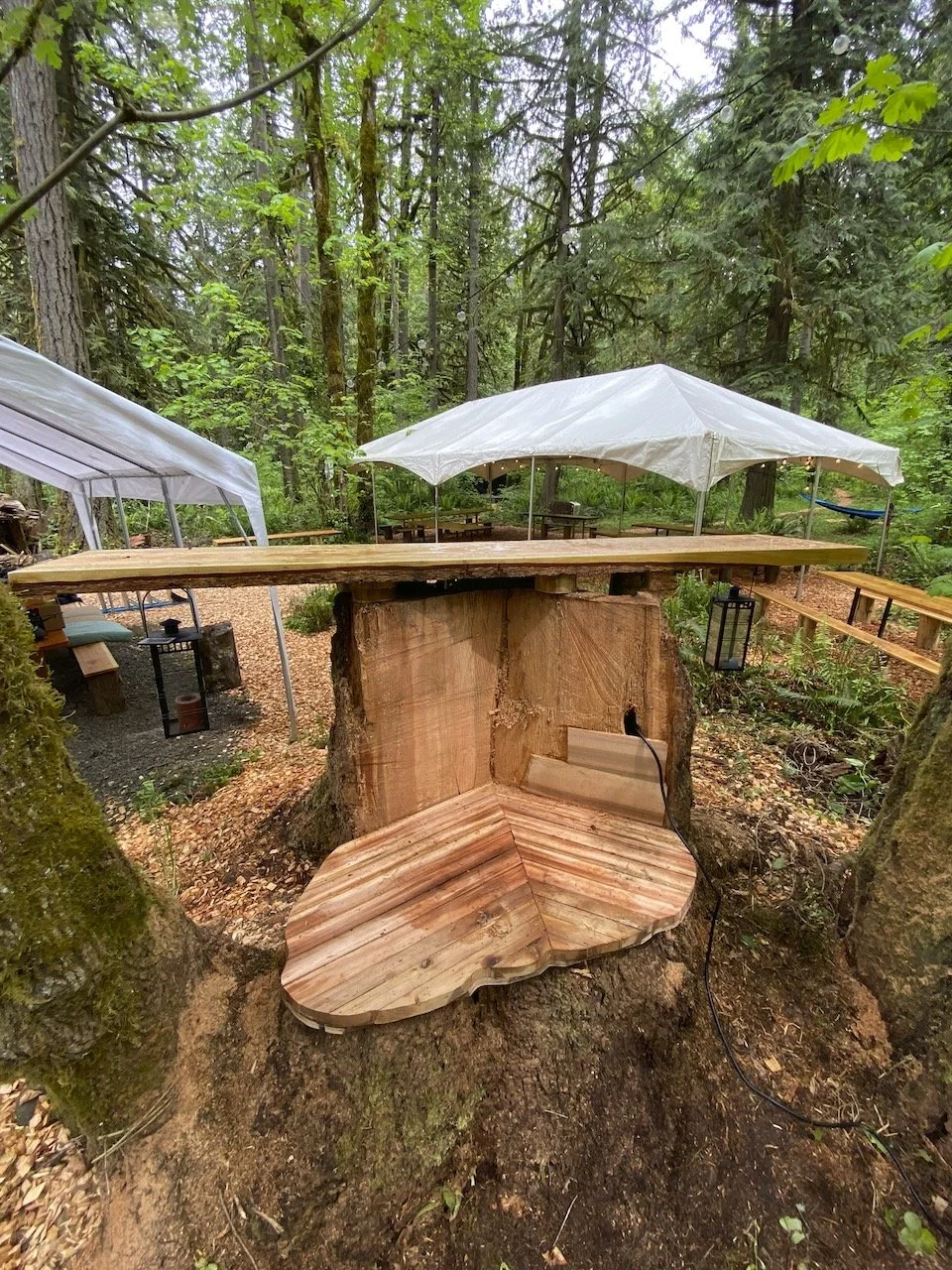 Desk in the Woods - 62.jpeg