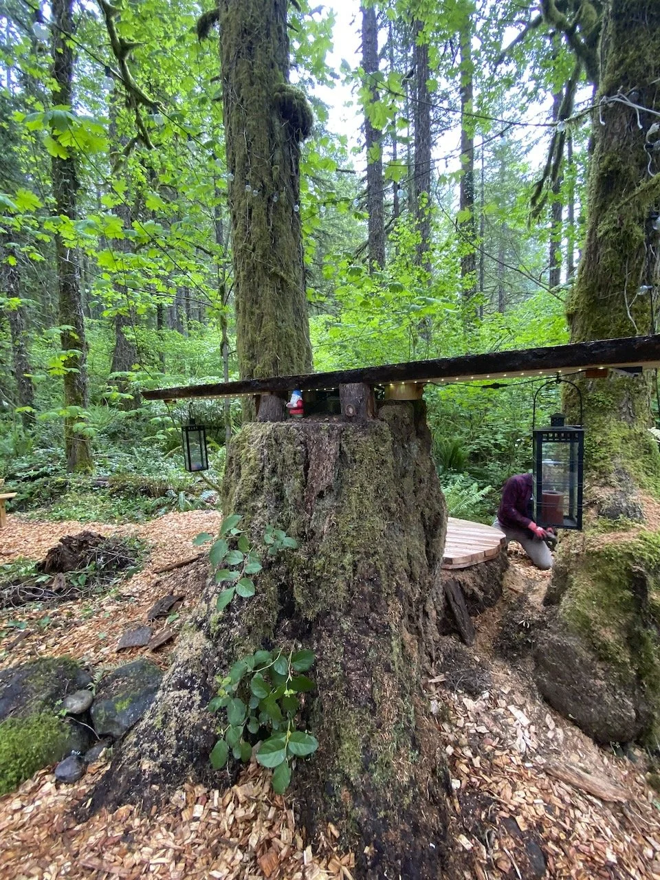 Desk in the Woods - 61.jpeg