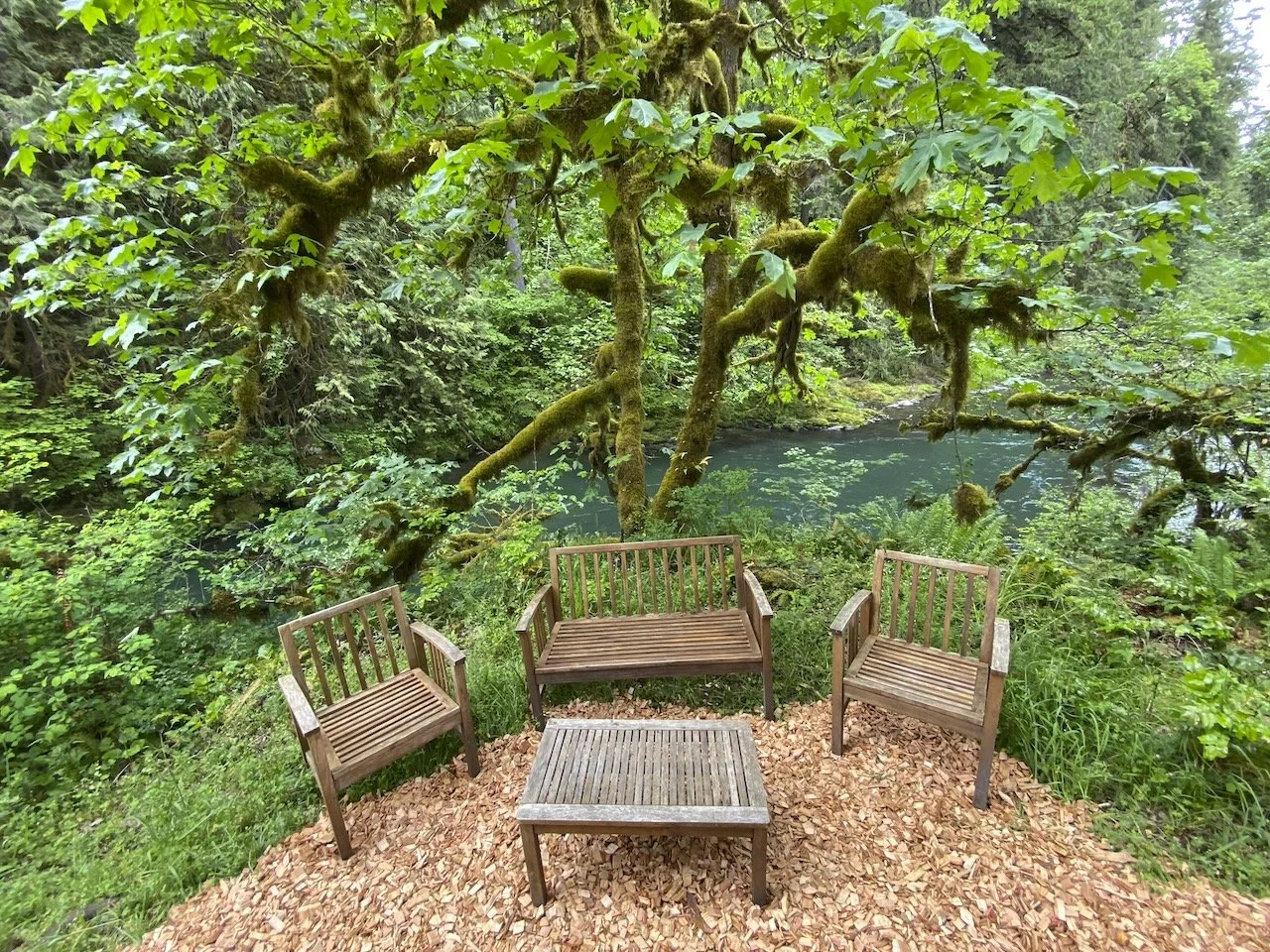 Desk in the Woods - 60.jpeg