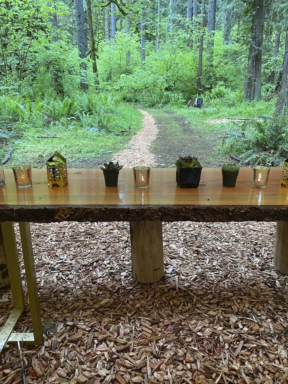 Desk in the Woods - 59.jpeg