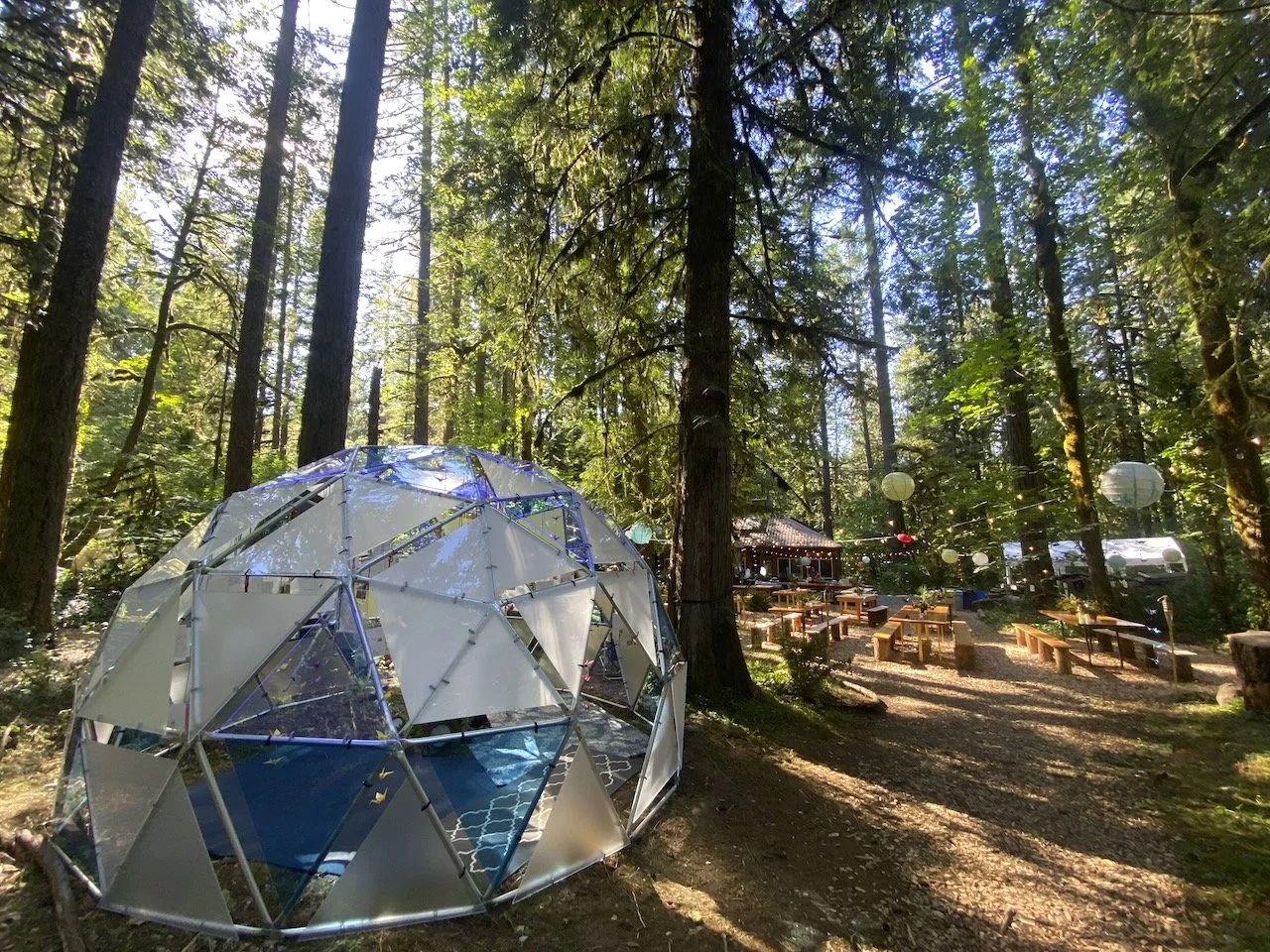 Desk in the Woods - 51.jpeg