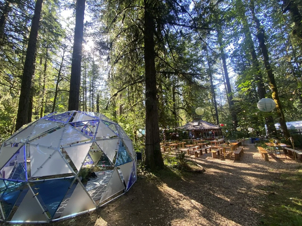 Desk in the Woods - 50.jpeg