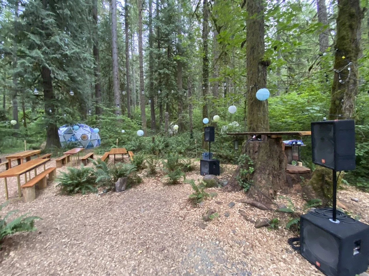 Desk in the Woods - 44.jpeg