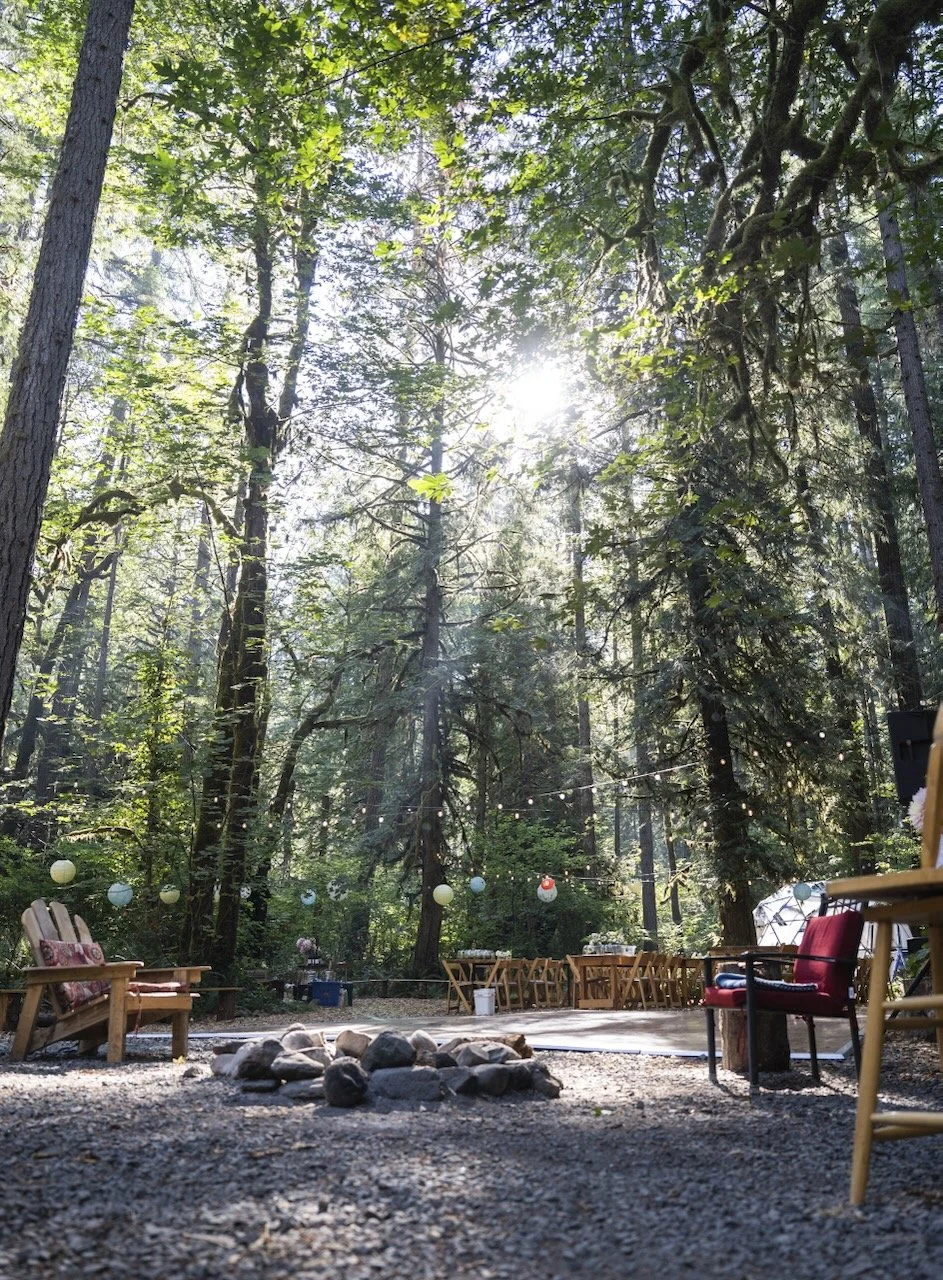 Desk in the Woods - 41.jpeg