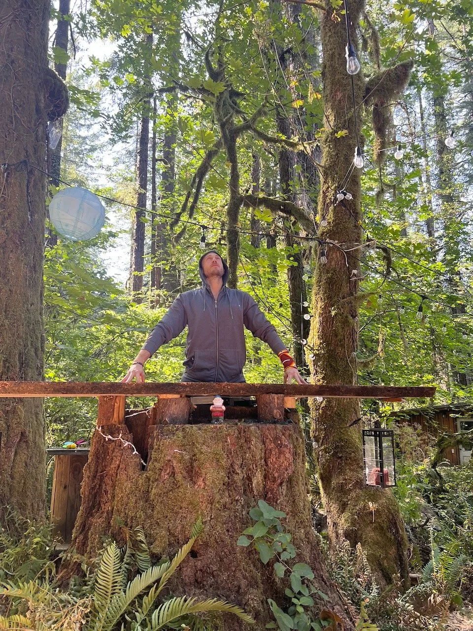 Desk in the Woods - 40.jpeg