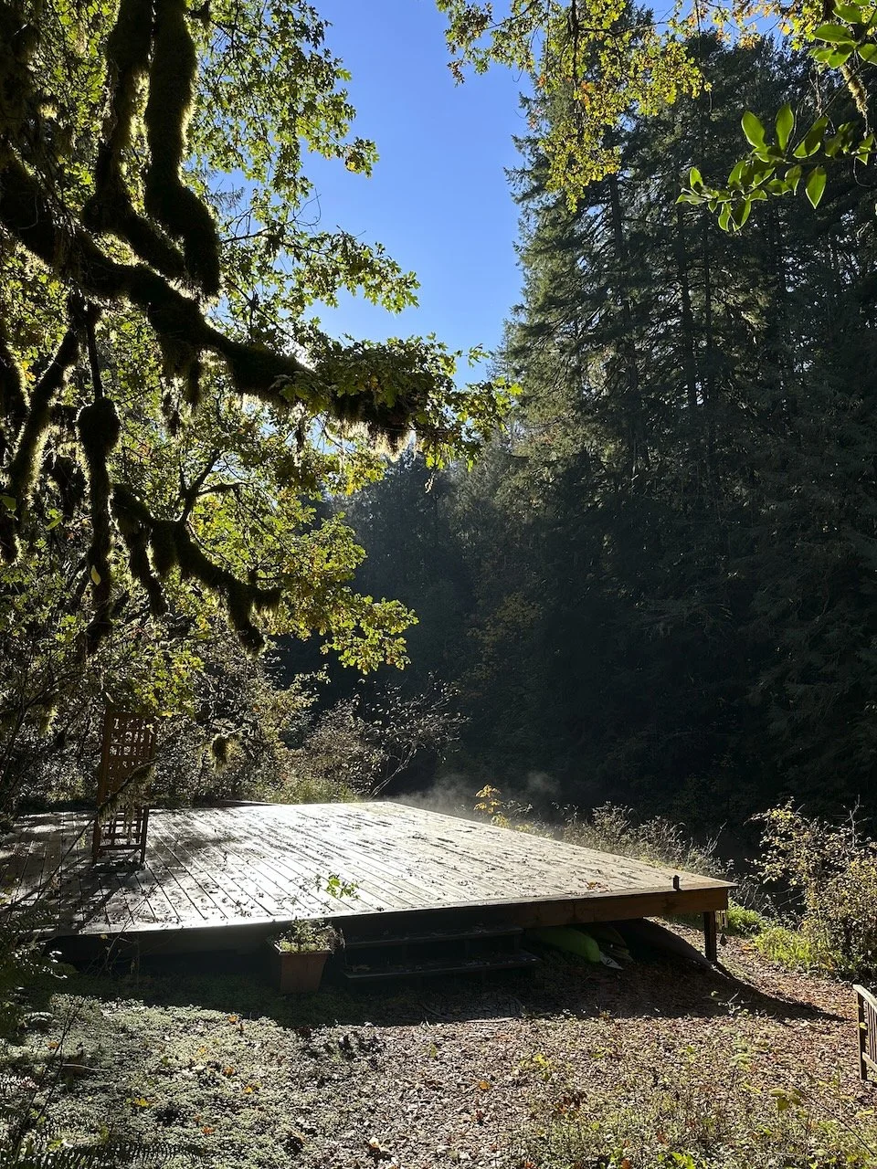 Desk in the Woods - 34.jpeg