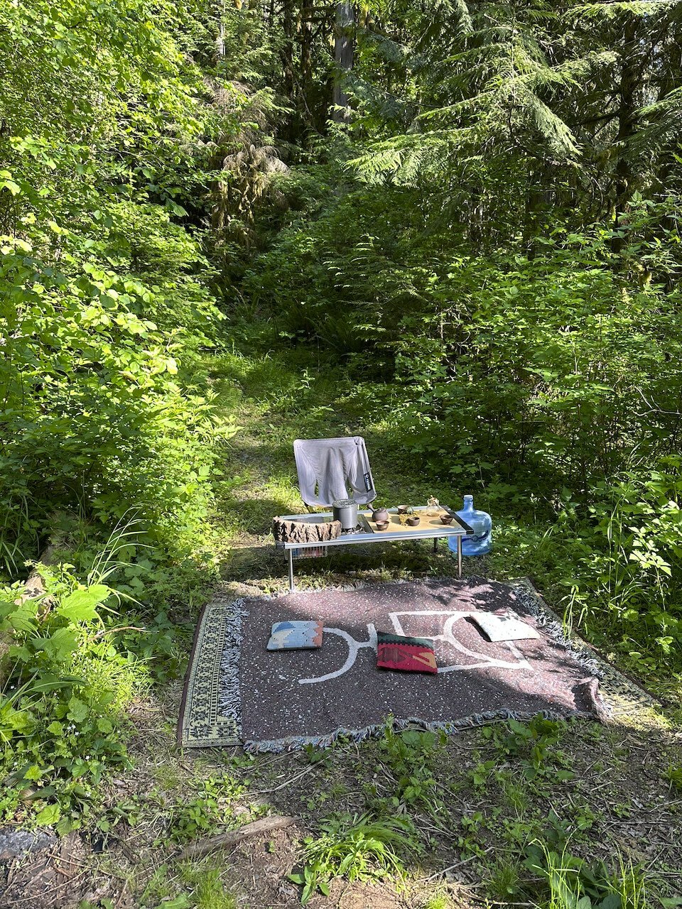 Desk in the Woods - 26.jpeg