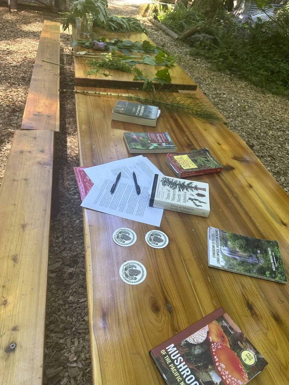 Desk in the Woods - 23.jpeg