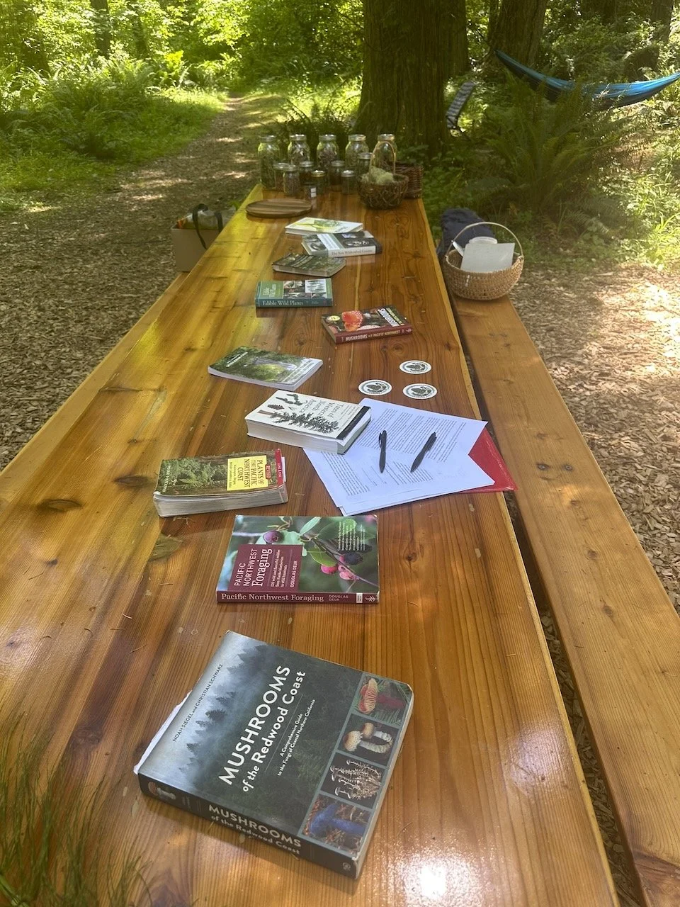 Desk in the Woods - 22.jpeg