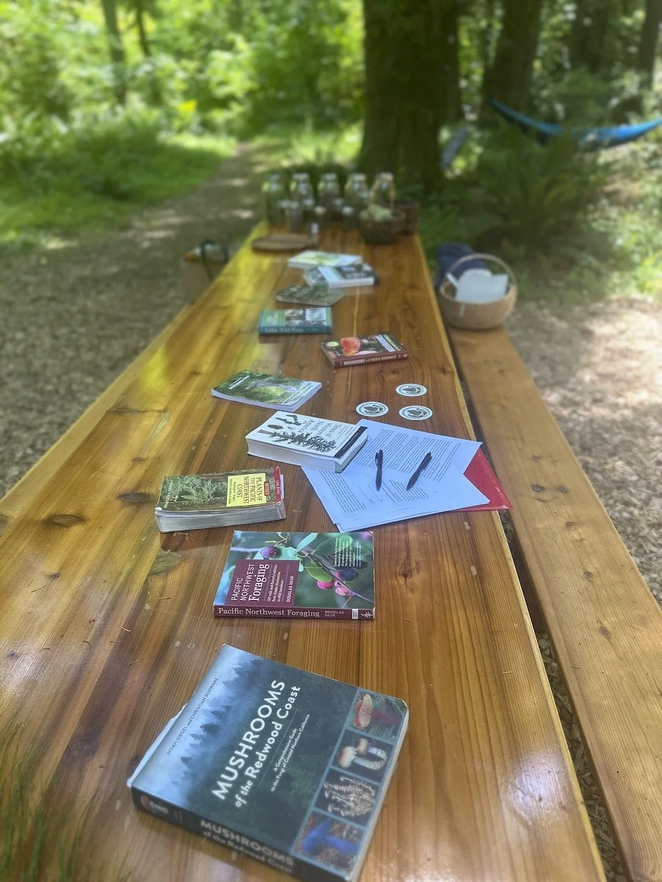 Desk in the Woods - 21.jpeg