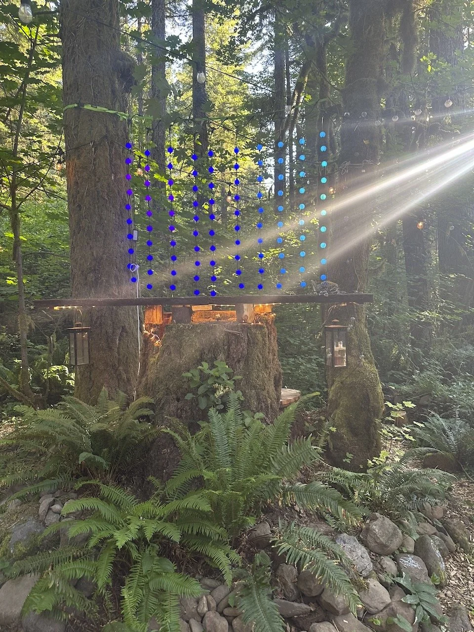 Desk in the Woods - 19.jpeg