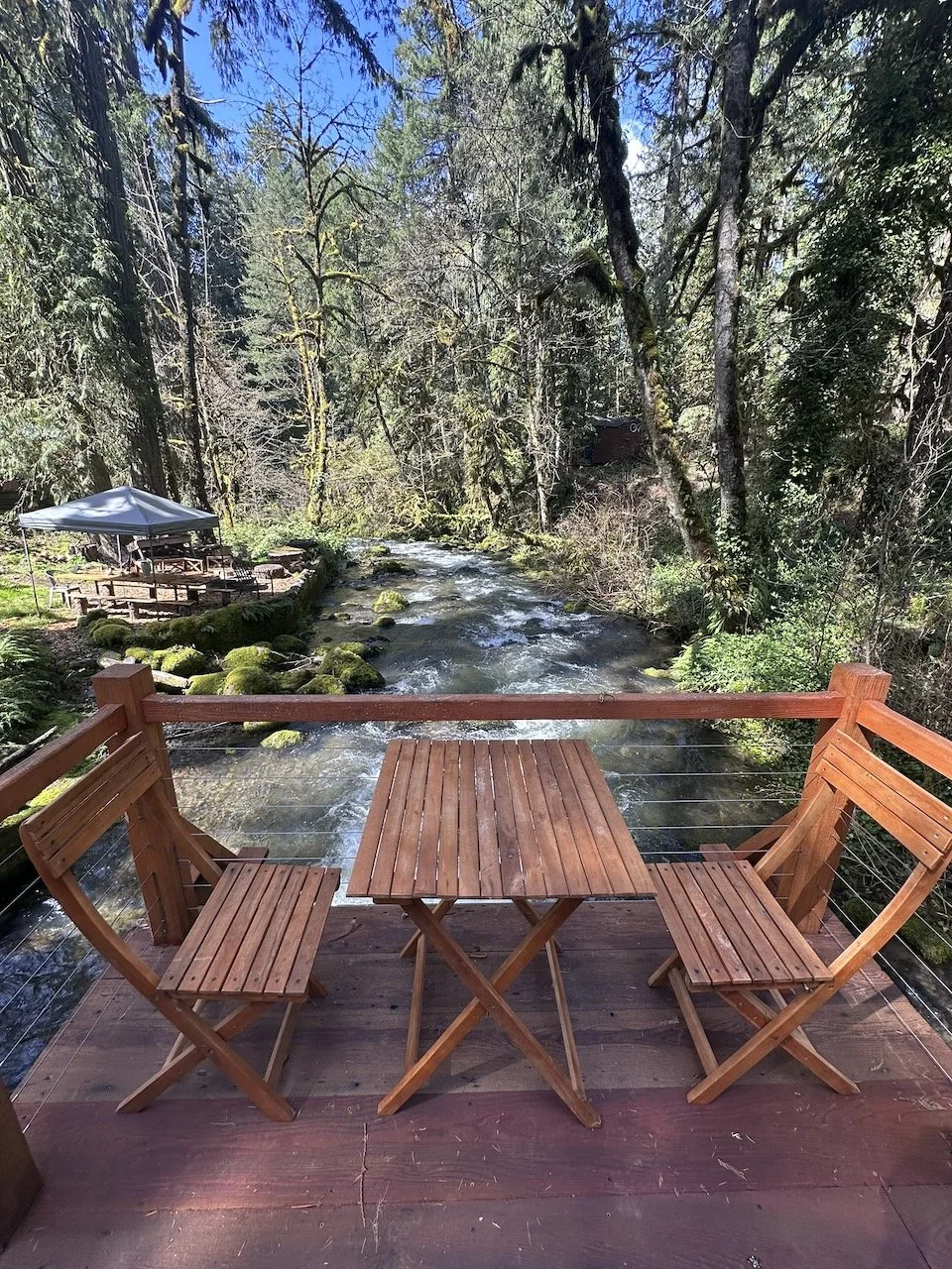 Desk in the Woods - 16.jpeg