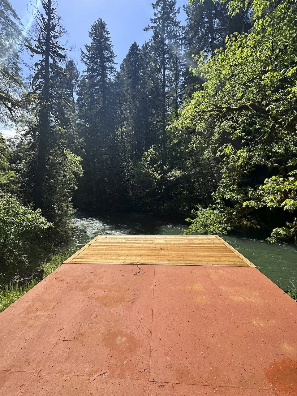 Desk in the Woods - 13.jpeg