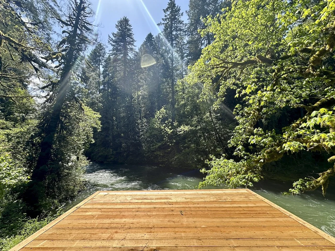 Desk in the Woods - 11.jpeg