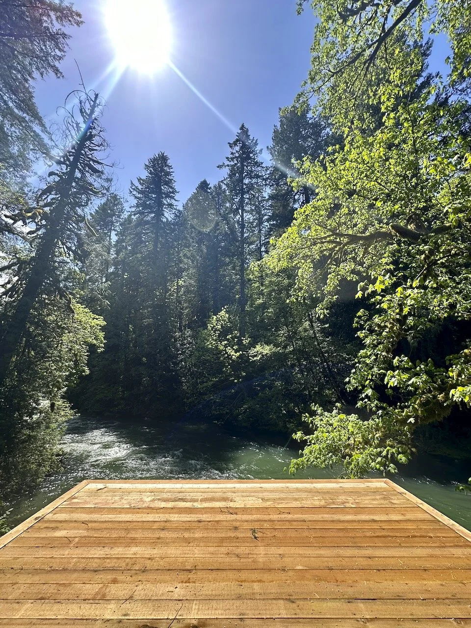 Desk in the Woods - 10.jpeg