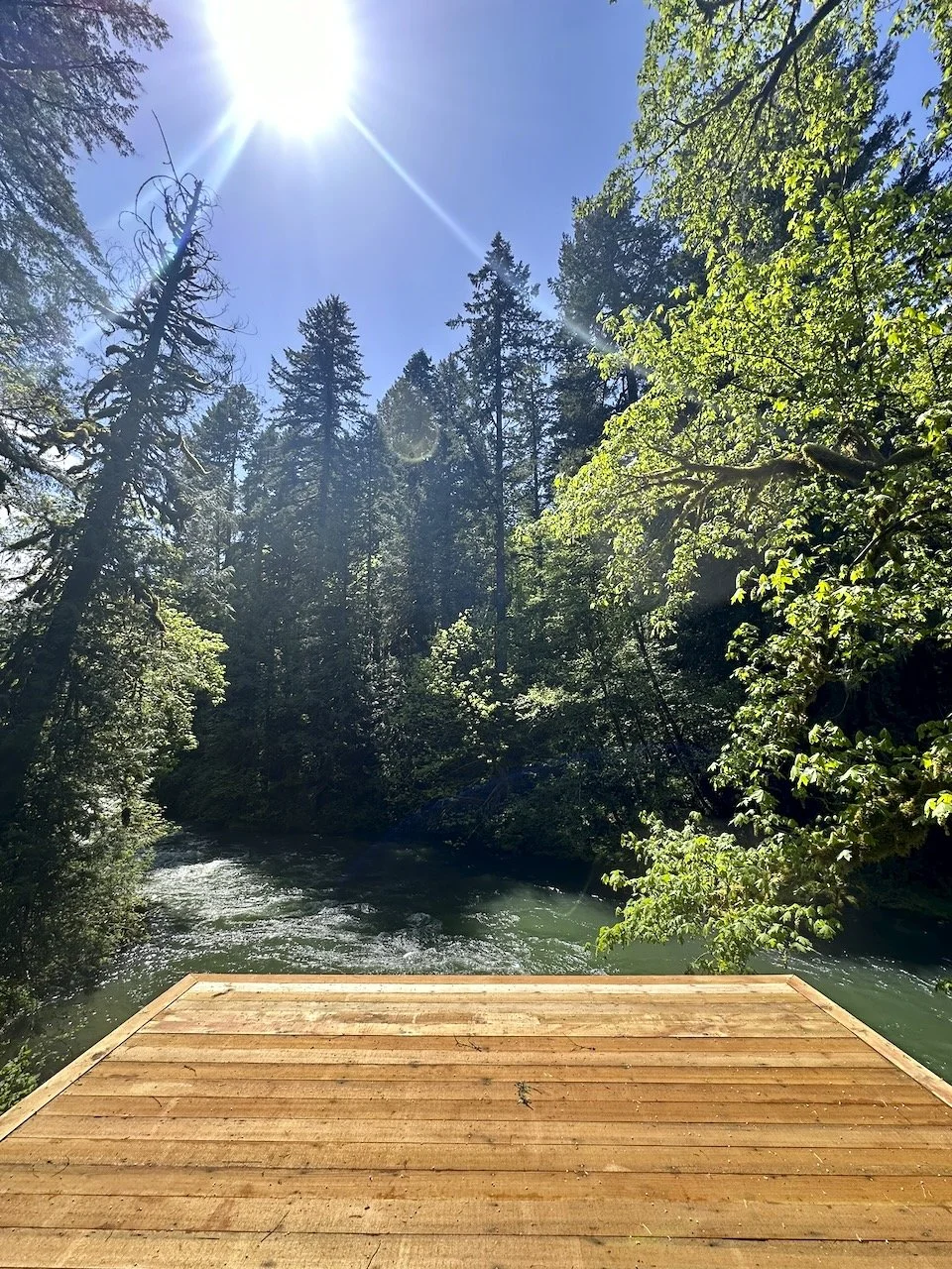 Desk in the Woods - 9.jpeg