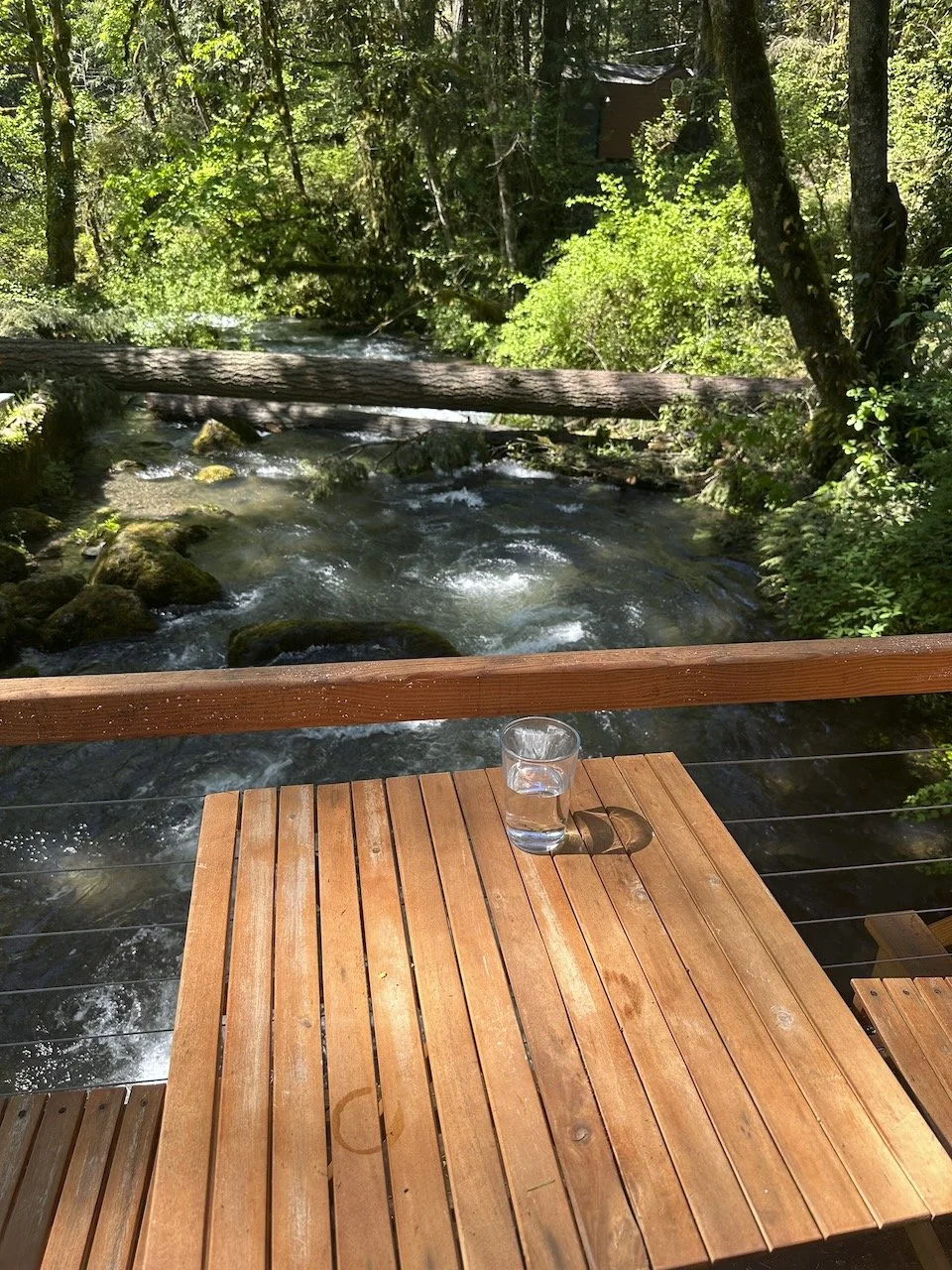 Desk in the Woods - 8 (1).jpeg