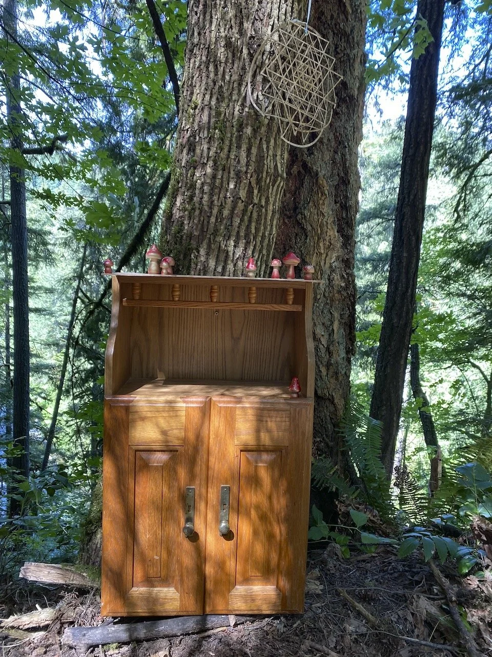 Desk in the Woods - 7 (1).jpeg