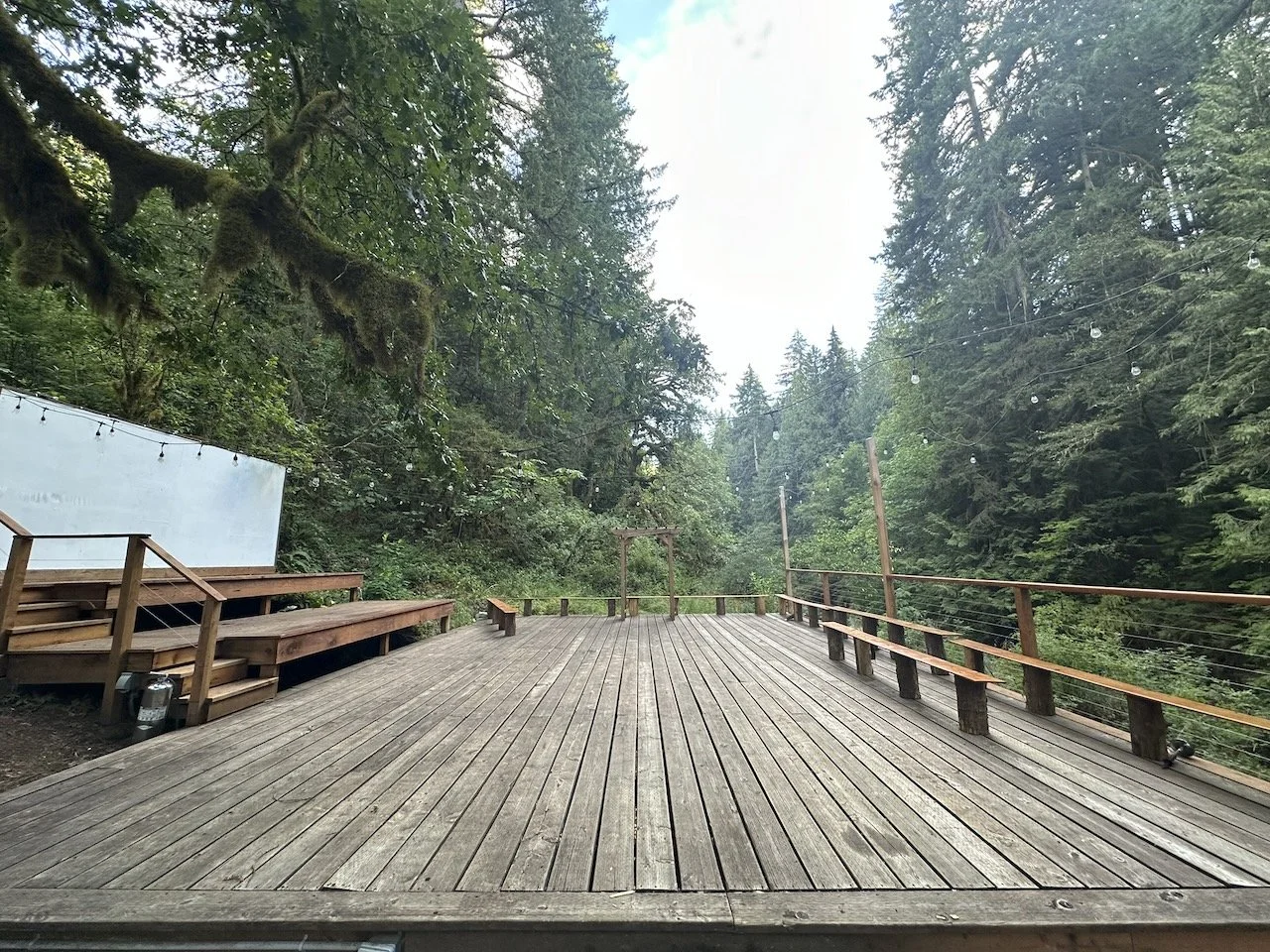 Desk in the Woods - 5 (1).jpeg