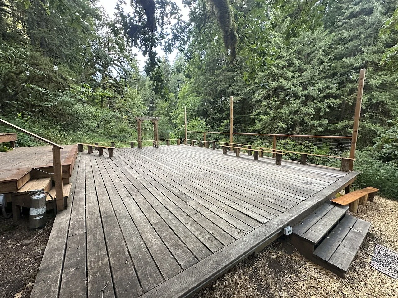 Desk in the Woods - 4 (1).jpeg