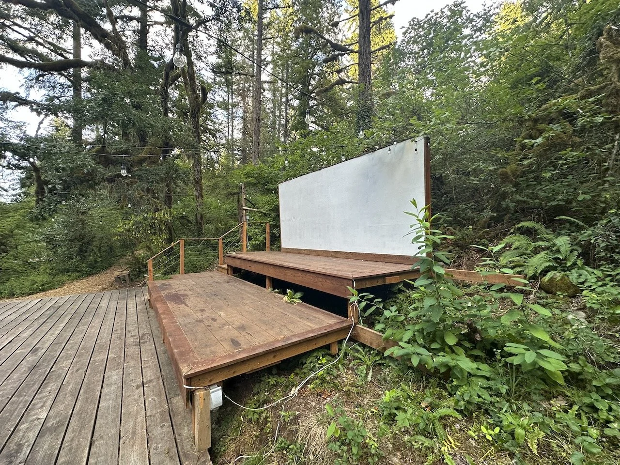 Desk in the Woods - 2 (1).jpeg