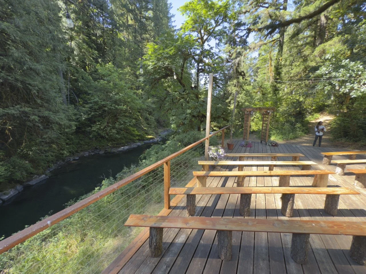 Desk in the Woods - 1 (1).jpeg