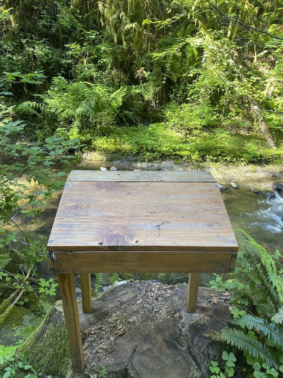 Desk in the Woods - 6.jpeg