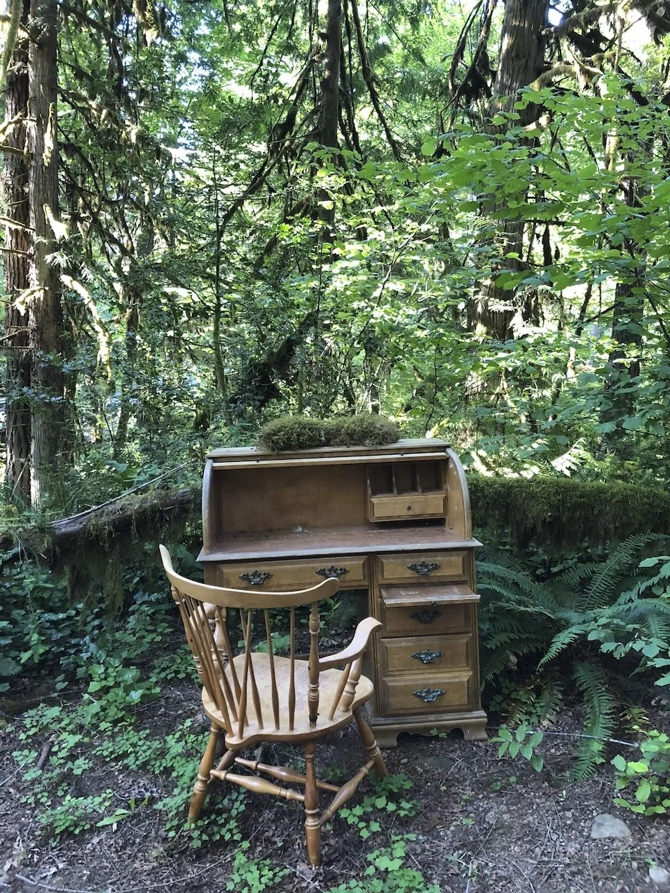 Desk in the Woods - 4.jpeg