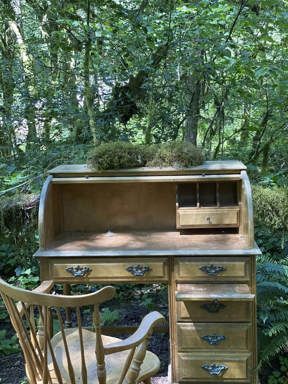 Desk in the Woods - 2.jpeg