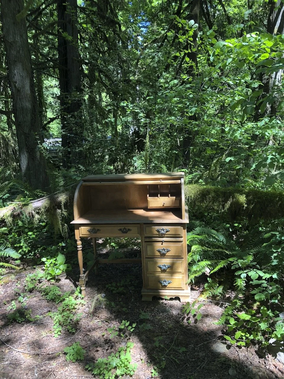 Desk in the Woods - 1.jpeg
