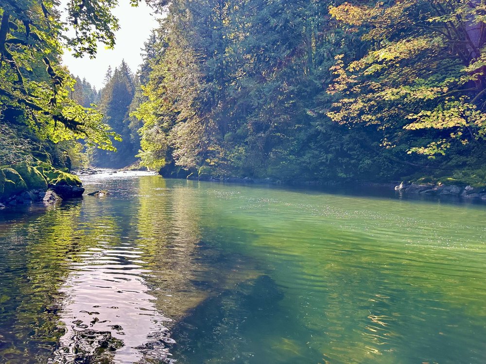 Sandy Beach — Trout Creek Wilderness Lodge