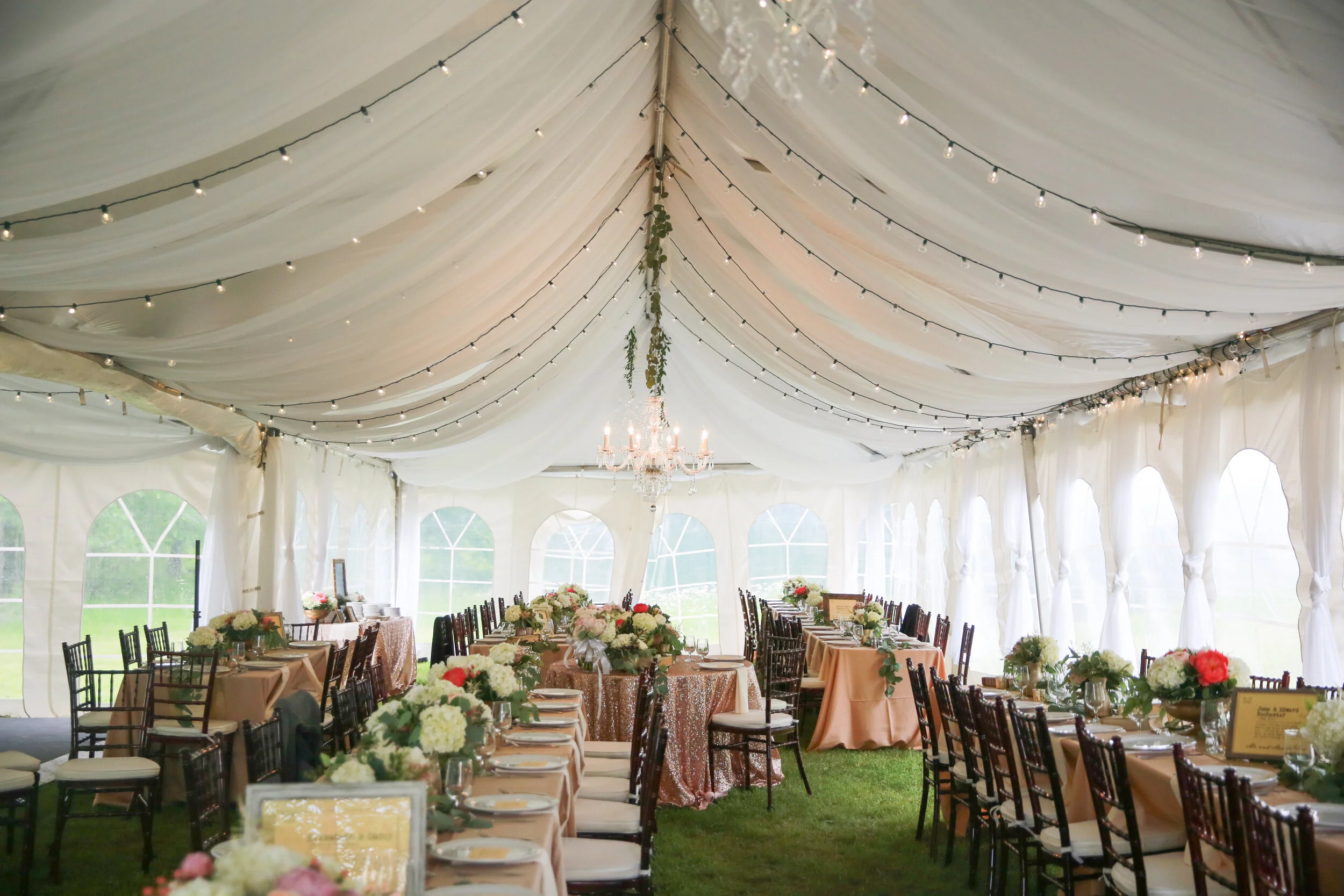 Ceilings & Backdrops — The Vault