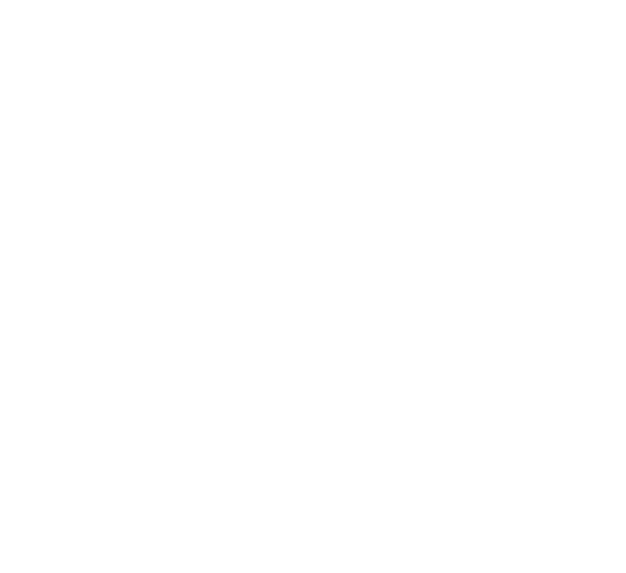 Live Timing Icon