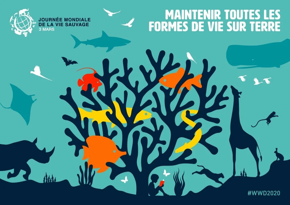 World Wildlife Day